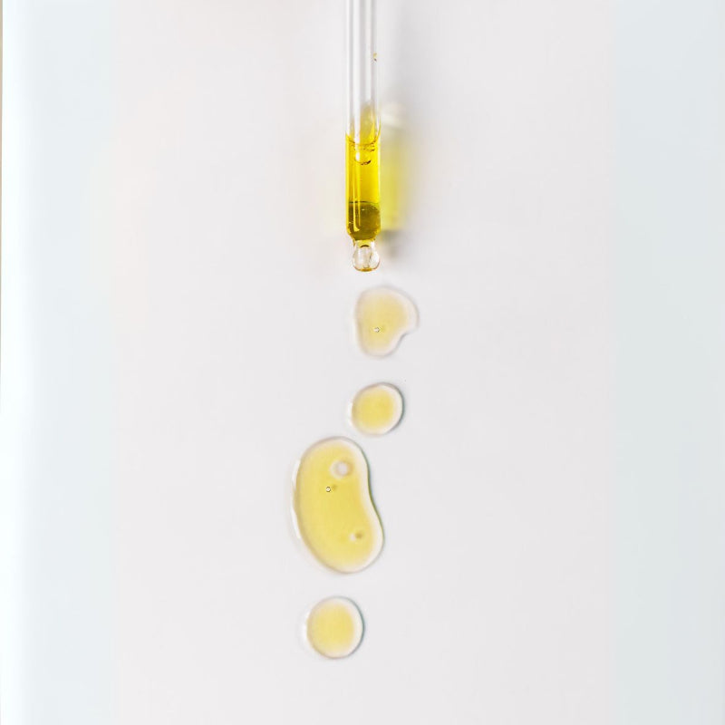 The Candle Dust - 10ml Fragrance Oil | Dark Honey