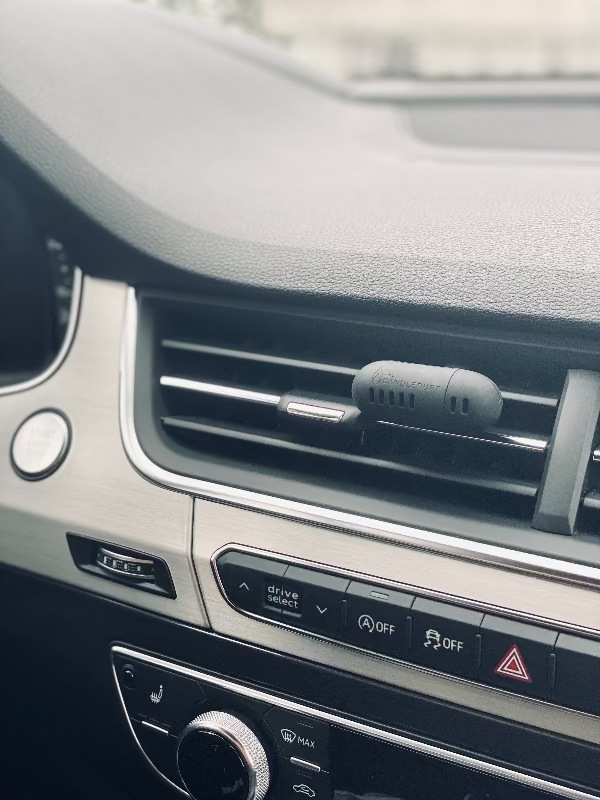 The Candle Dust - Car Diffuser | Champagne Rhubarb