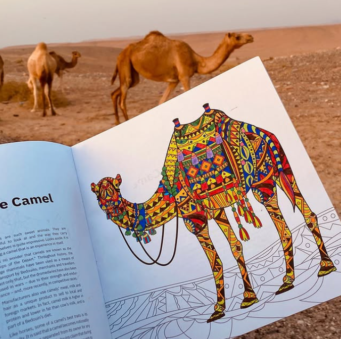 Identity - Jordan Coloring Book