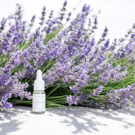 The Candle Dust - 10ml Essential Oil | Lavender
