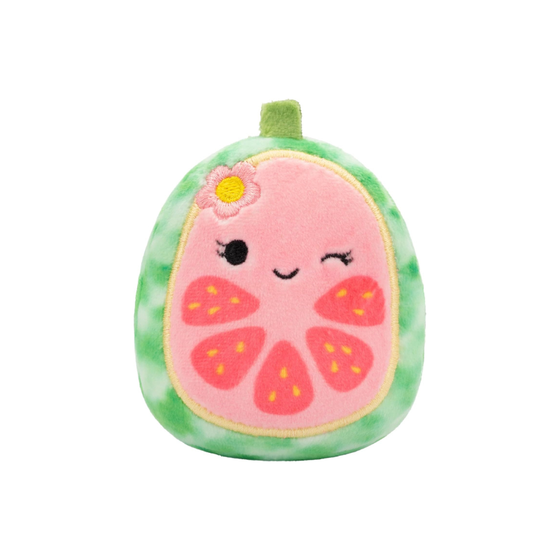 Squishmallows - Micromallows (2.5") 6 Pack | Floyd, Leonard, Noah, Lena, Dane, and Cortez