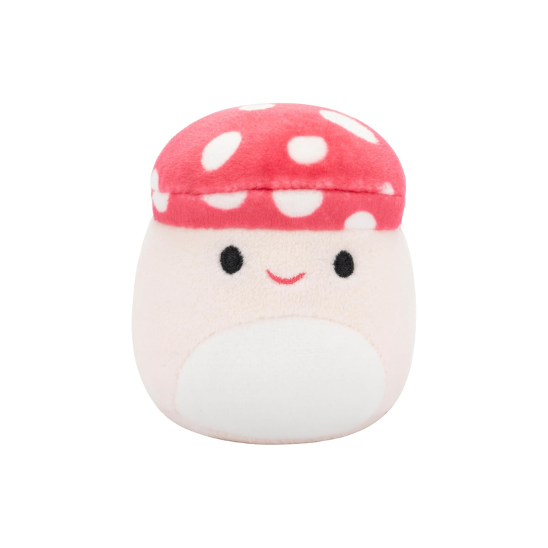 Squishmallows - Micromallows (2.5") 6 Pack | Floyd, Leonard, Noah, Lena, Dane, and Cortez