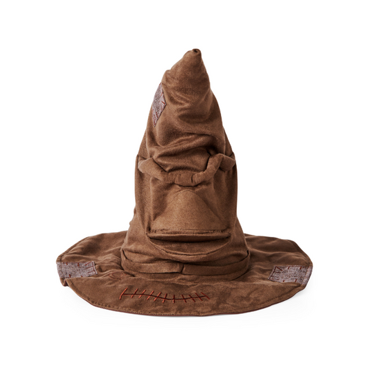 Spin Master - Harry Potter Wizarding World | Talking Sorting Hat