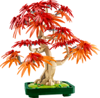 Japanese Red Maple Bonsai Tree- 474 Pcs