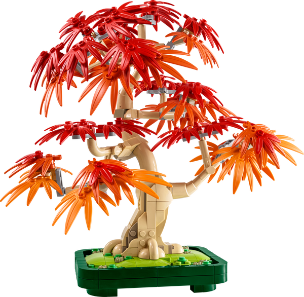 Japanese Red Maple Bonsai Tree- 474 Pcs