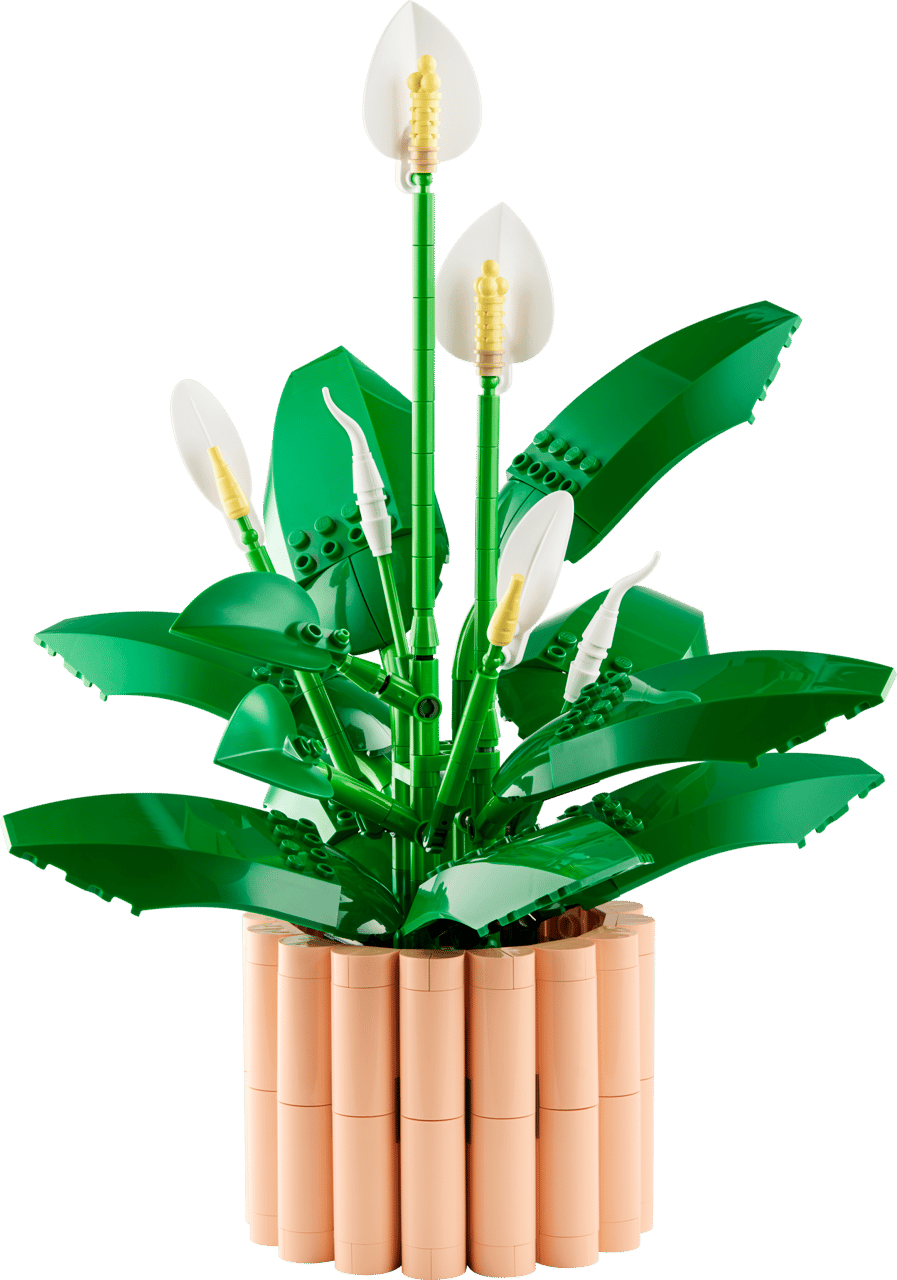 Peace Lily- 474 Pcs