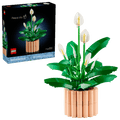 Peace Lily- 474 Pcs