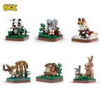 BRX- wonderfuls animal land
