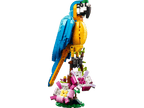 Exotic Parrot- 253 Pcs