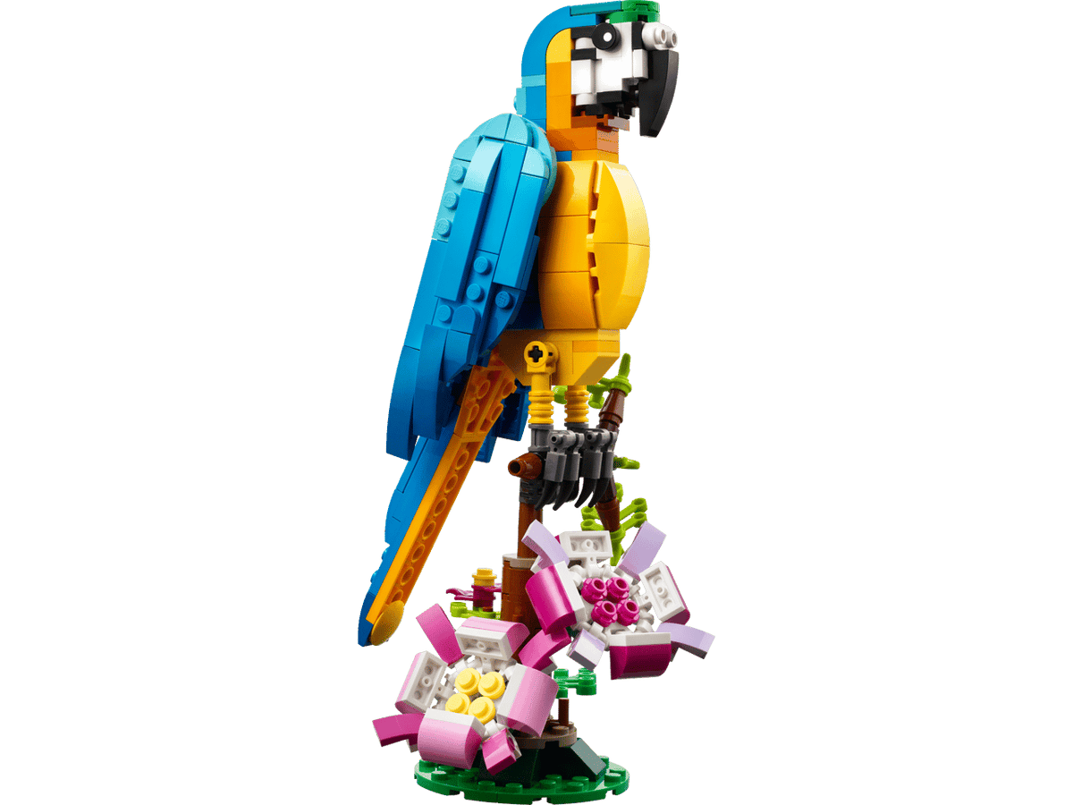 Exotic Parrot- 253 Pcs