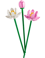 Lotus Flowers- 220 Pcs