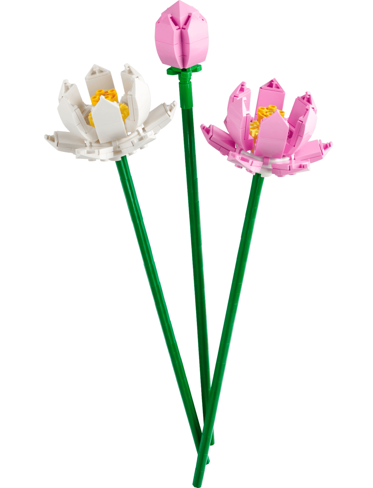 Lotus Flowers- 220 Pcs