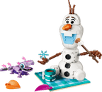 Olaf and Bruni's Picnic Fun- 478 Pcs