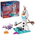 Olaf and Bruni's Picnic Fun- 478 Pcs