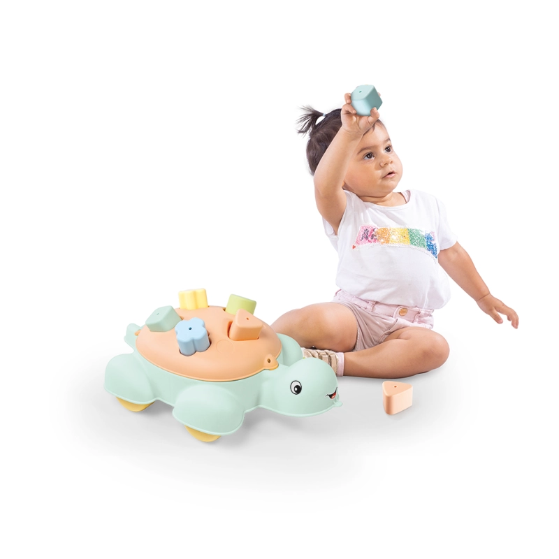 Dolu-Turtle Shape Sorter (New)- 5 Pcs