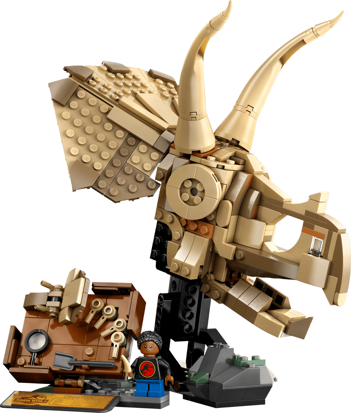 Dinosaur Fossils: Triceratops Skull- 468 Pcs