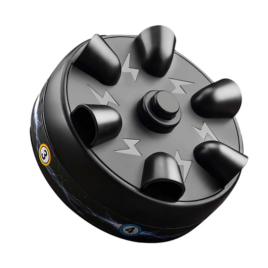 Amazing Roulette Shocking Toy