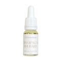 Bottle of Champagne Rhubarb fragrance oil with a white dropper on a white background