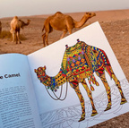 Identity - Jordan Coloring Book