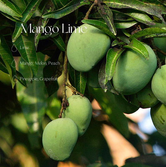 The Candle Dust - 160g Sand Candle | Mango Lime