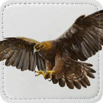 Zaga Caps - Eagle Patch