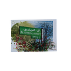 Saleh Studio - Rainbow Street Postcard