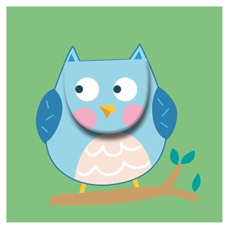 Soft Peekaboo: Bedtime Book: Owl