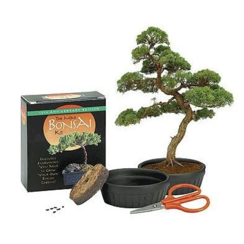 The Mini Bonsai Kit
