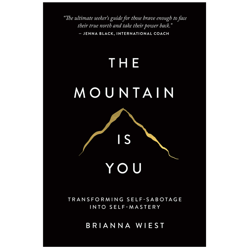 The Mountain Is You: Transforming Self-Sabotage Into Self-Mastery