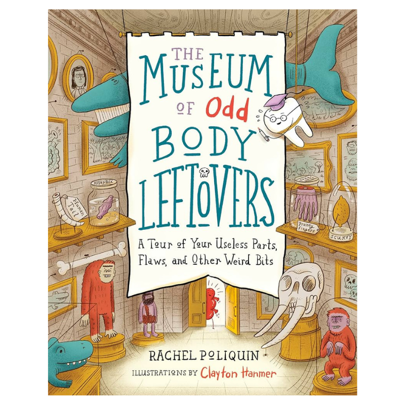 The Museum of Odd Body Leftovers
