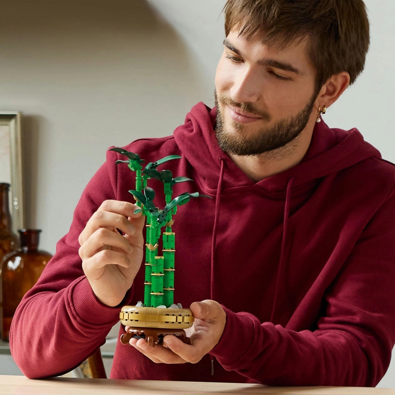 LEGO Botanical Collection - Lucky Bamboo