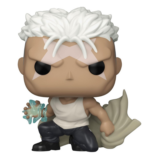 Funko POP - Pop! Animation: Full Metal Alchemist Brotherhood | Scar