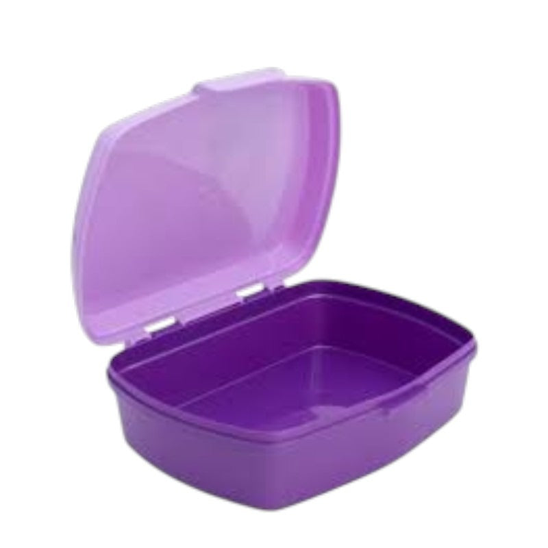 STOR URBAN SANDWICH BOX FROZEN AUTUM LEAVES