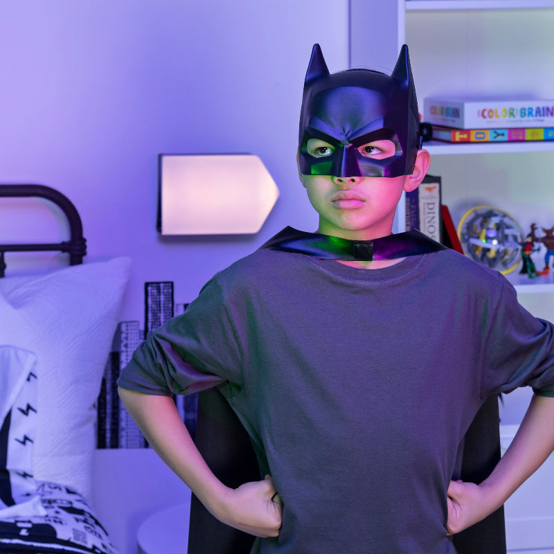 Spin Master - DC Batman | Batman Hero Mask Assortment