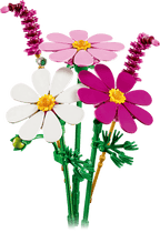 Cosmos Flowers- 171 Pcs