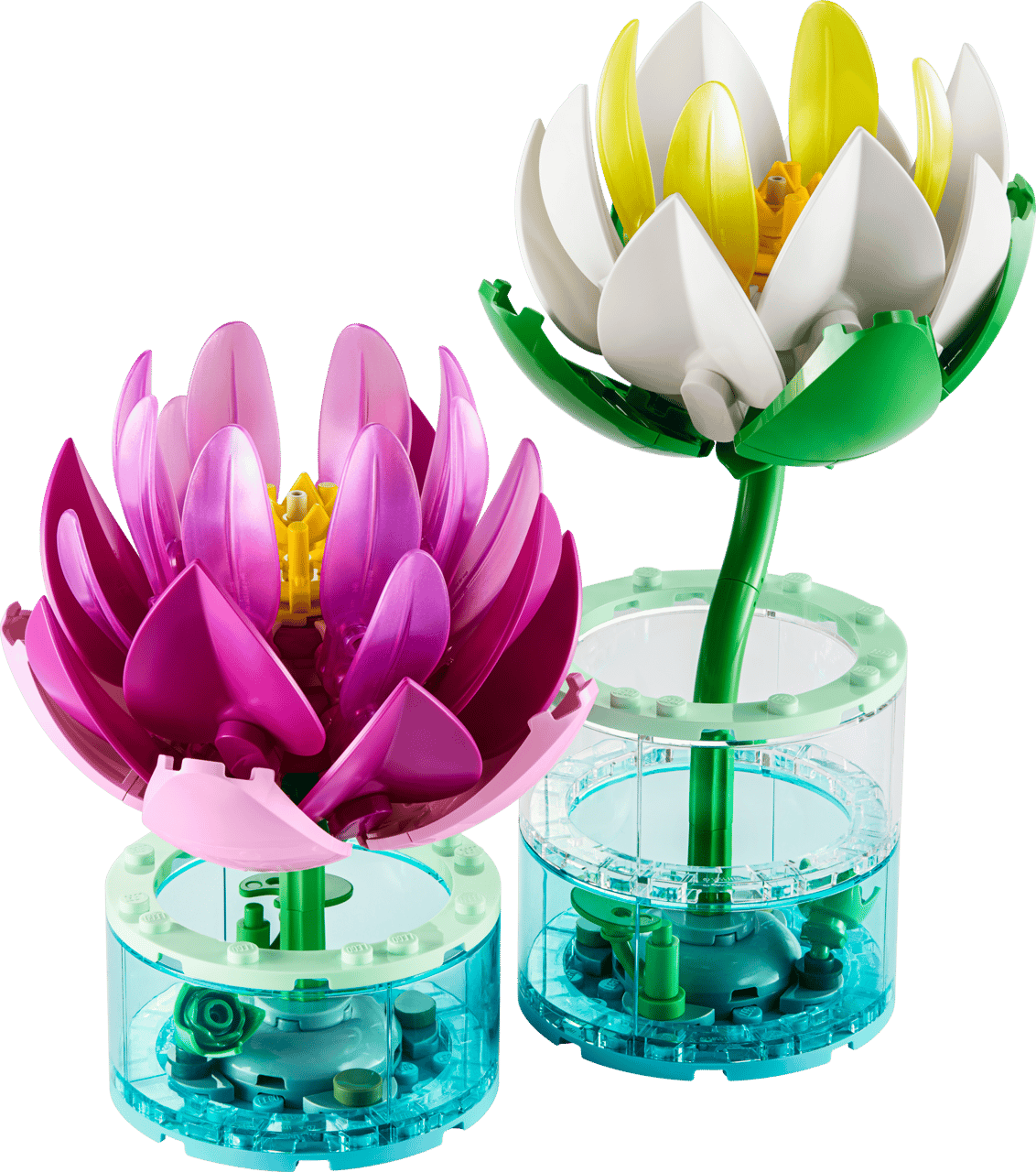Water Lilies- 259 Pcs