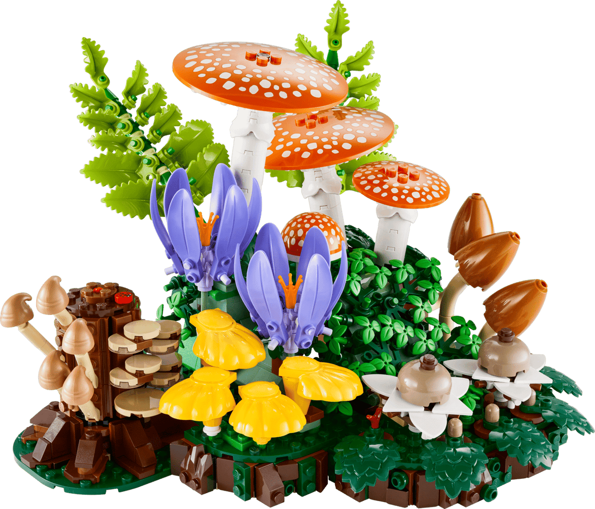 Woodland Mushrooms- 806 Pcs