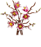 Magnolia Branches- 435 Pcs