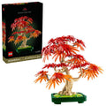Japanese Red Maple Bonsai Tree- 474 Pcs